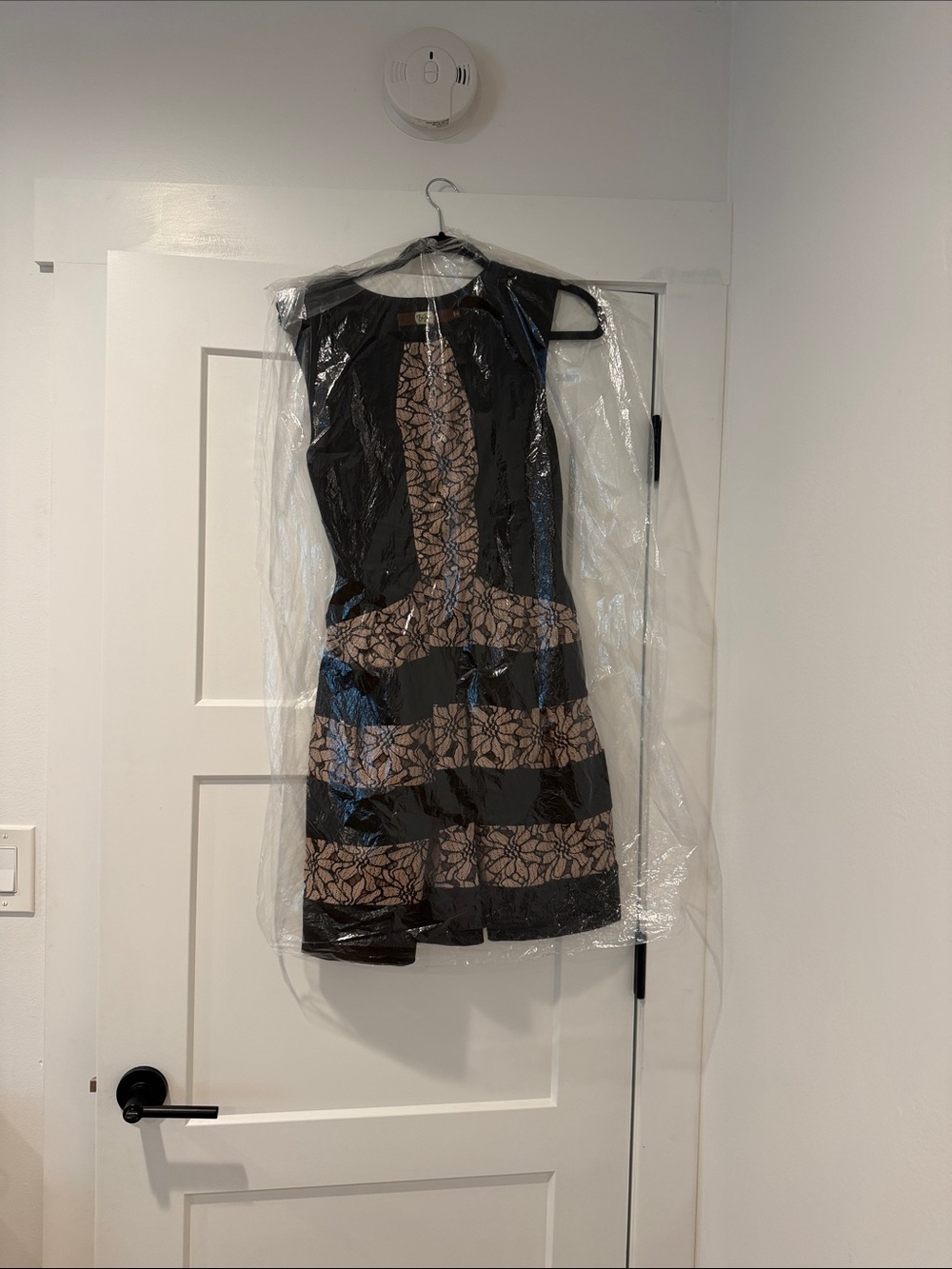 Eva Franco Black and Nude Lace-Striped Fit-and-Flare Mini Dress